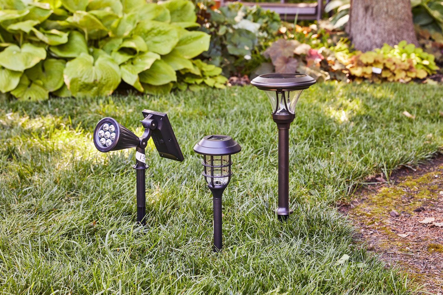 10 Best Solar String Lights for 2024: Illuminate Your Outdoors!