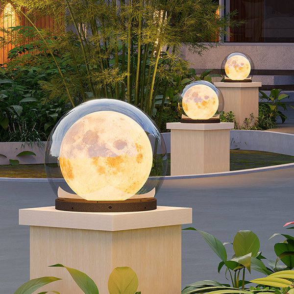 10 Best Moon Flower Products of 2024: Illuminate Your Garden 10 Best Moon Flower Products of 2024: Illuminate Your Garden