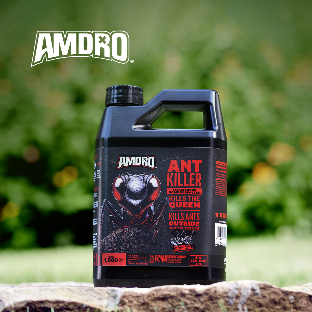 10 Best Ant Killers for Outdoors: Top Products for 2024