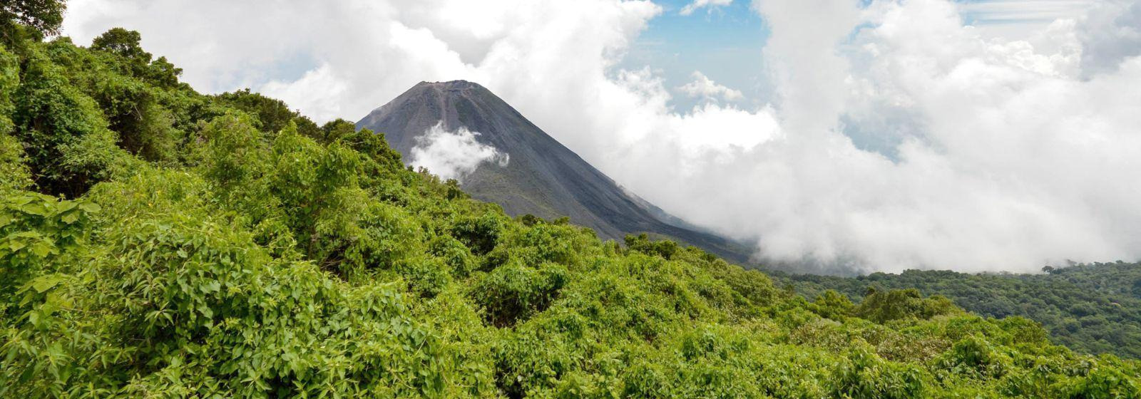 10 Best El Salvador Food Products You Must Try in 2024!