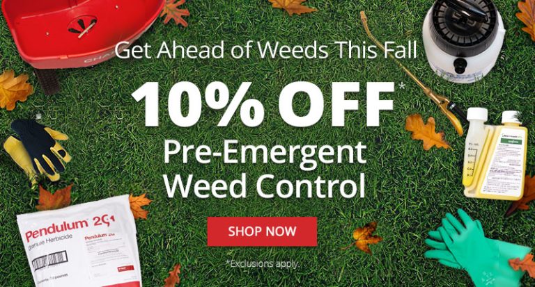 10 Best Do It Yourself Pest Control Products for 2024