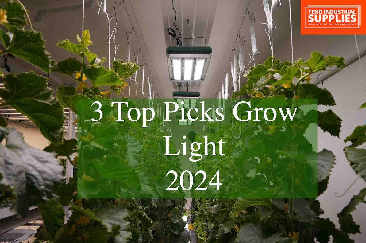Best Grow Lights of 2024: Top Picks for Thriving Indoor Plants Best Grow Lights of 2024: Top Picks for Thriving Indoor Plants