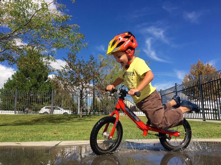 10 Best Toddler Bikes to Consider in 2024 for Your Little One’s Fun! 10 Best Toddler Bikes to Consider in 2024 for Your Little One’s Fun!