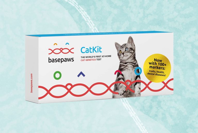 10 Best Cat DNA Tests of 2024: Uncover Your Feline’s Genetics Today! 10 Best Cat DNA Tests of 2024: Uncover Your Feline’s Genetics Today!