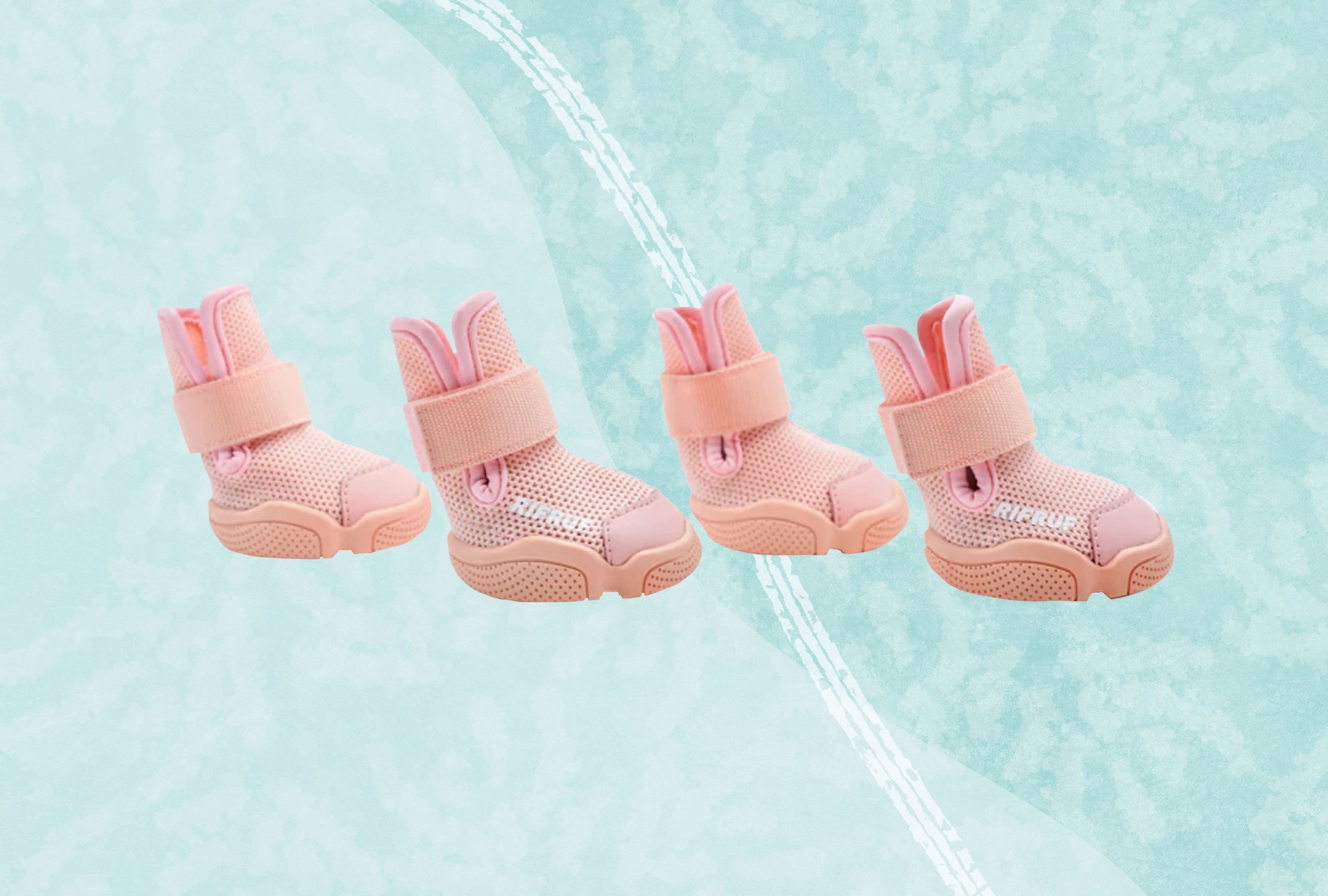 10 Best Dog Shoes: Top Picks for 2024 to Keep Your Pup Comfortable!