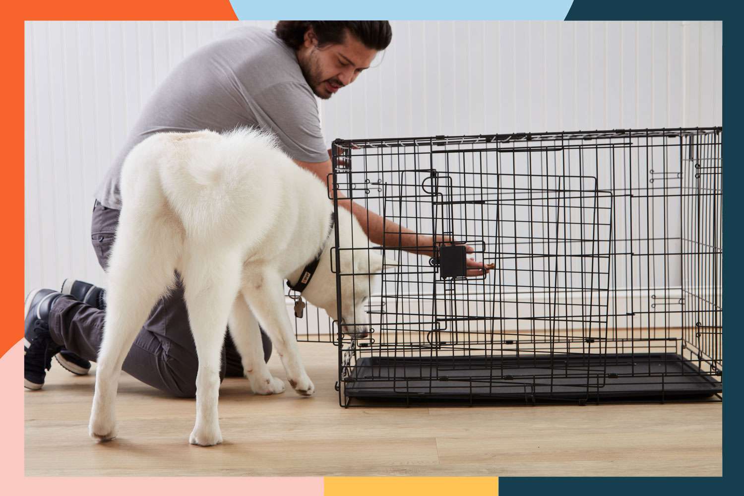10 Best Dog Cages for 2024: Top Picks for Your Furry Friend