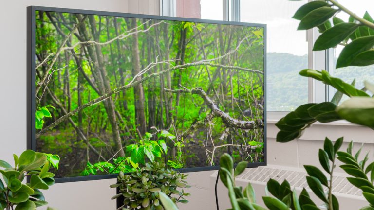 10 Best TVs for Outdoors in 2024: Top Picks for Ultimate Viewing