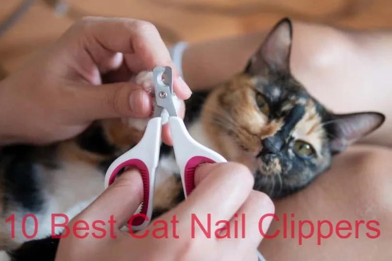 Best Rated Cat Nail Clippers: Discover Top Picks for 2024!