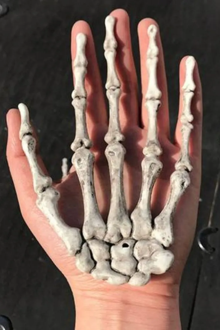 Best Skeleton Hands: Top Picks for 2024’s Must-Have Halloween Decor