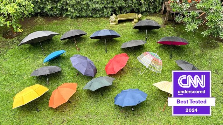 Best Umbrella: Top Picks for 2024’s Must-Have Rain Protection Products