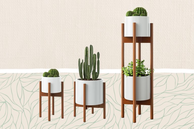 Best Plant Stand Indoor: Top Picks for 2024’s Best Indoor Gardening Support Best Plant Stand Indoor: Top Picks for 2024’s Best Indoor Gardening Support