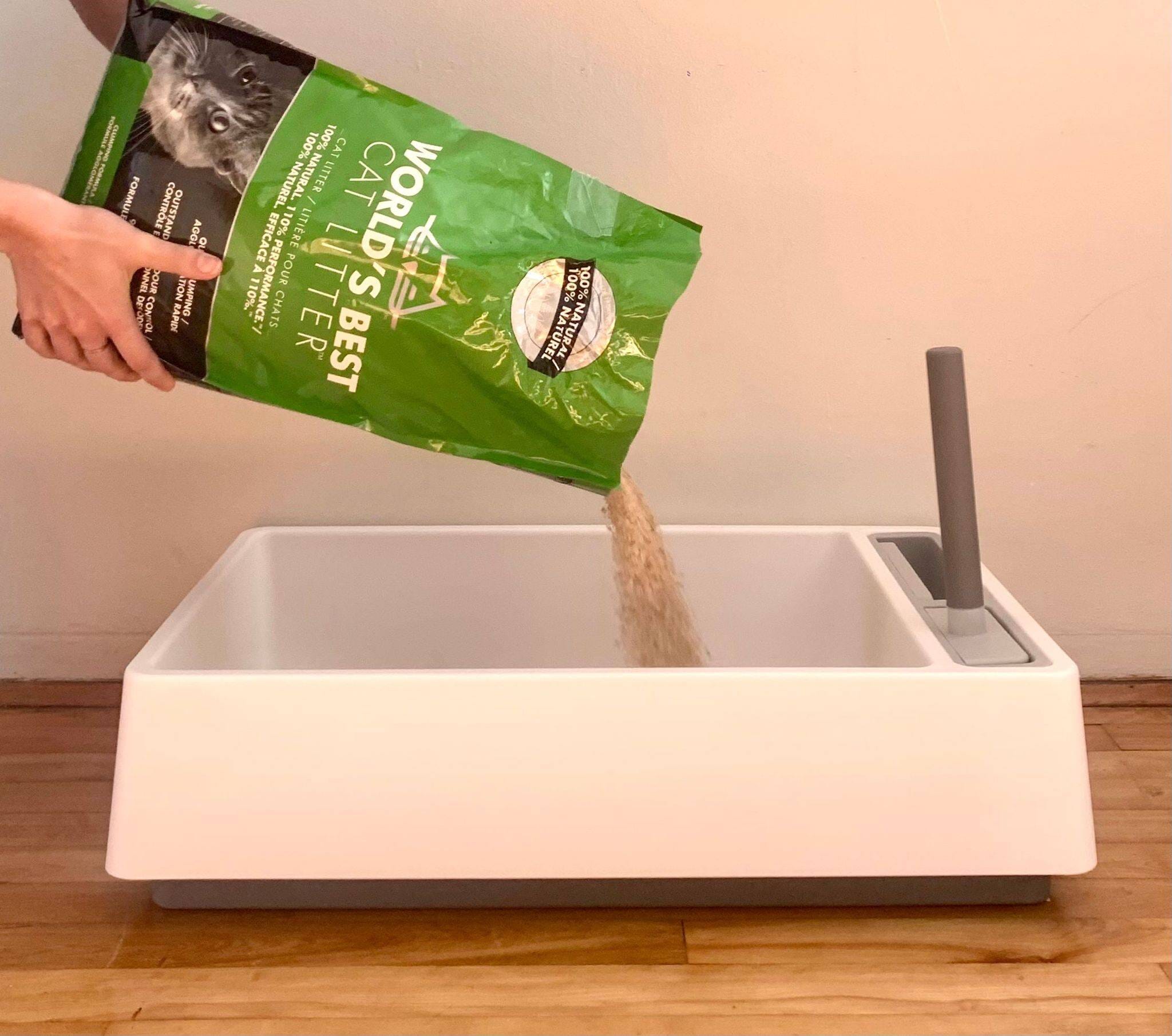 10 Best Cat Litters: World’s Best Choices for 2024 Review 10 Best Cat Litters: World’s Best Choices for 2024 Review