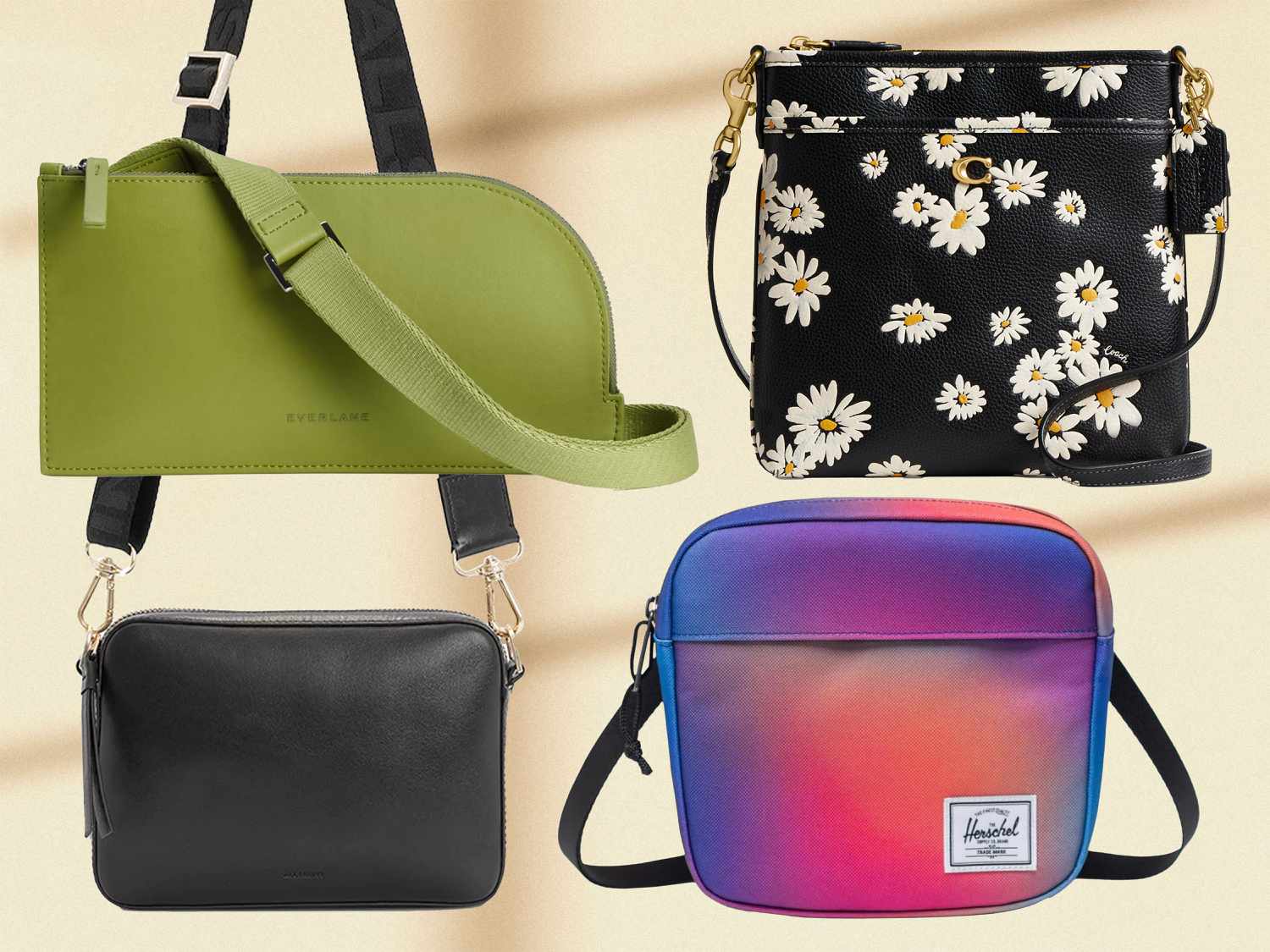 Best Patricia Nash Handbags: 2024’s Top Picks for Style and Quality