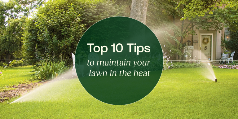 10 Best Sprinklers for 2024: Top Products to Keep Your Lawn Lush
