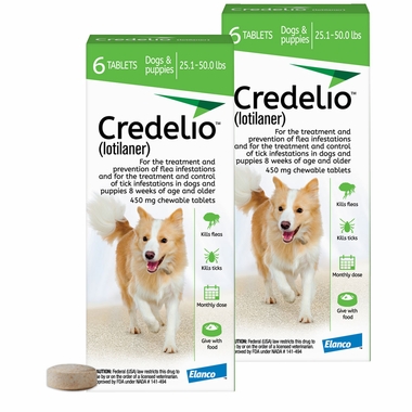 10 Best Credelio for Dogs: Top Products to Try in 2024