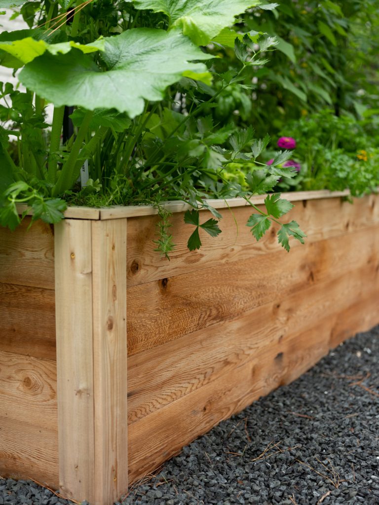 10 Best Wood for Garden Beds: Top Choices for 2024