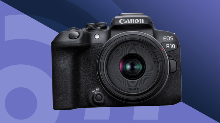 10 Best Novice Digital Cameras for 2024: Top Picks for Beginners