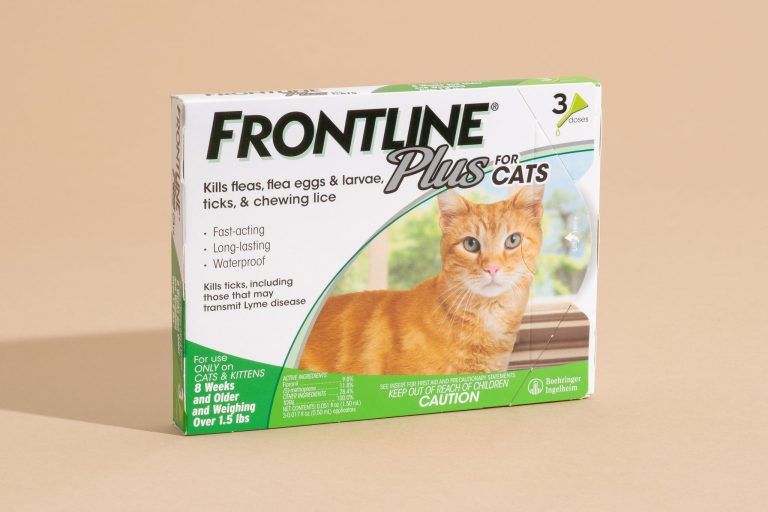 10 Best Flea Medicine for Kittens: Top Picks for 2024