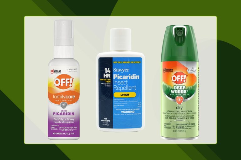 10 Best Yard Mosquito Protection Products for a Mosquito-Free 2024