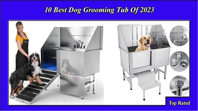 10 Best Dog Wash Station