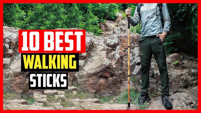 10 Best Walking Stick
