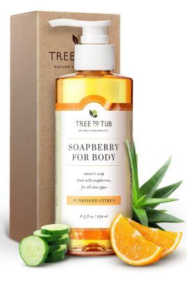10 Best Antibacterial Body Wash