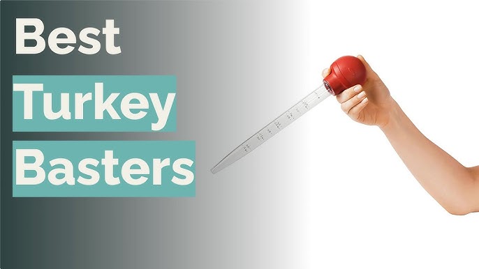 10 Best Turkey Baster