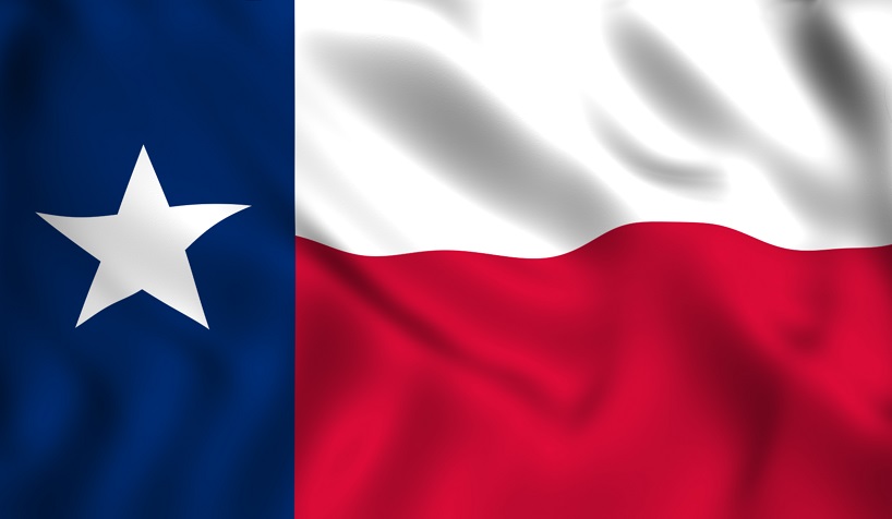 10 Best Texas Flag