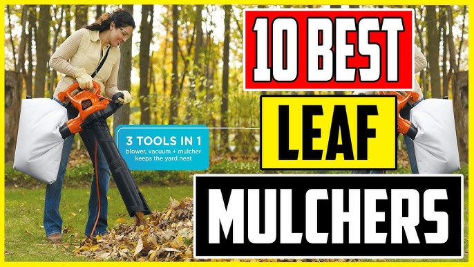 10 Best Leaf Vacuum