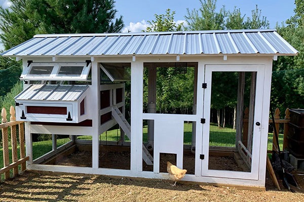 10 Best Chicken Coops For Sale 10 Best Chicken Coops For Sale