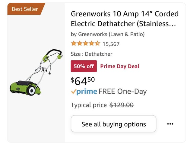 10 Best Dethatcher 10 Best Dethatcher