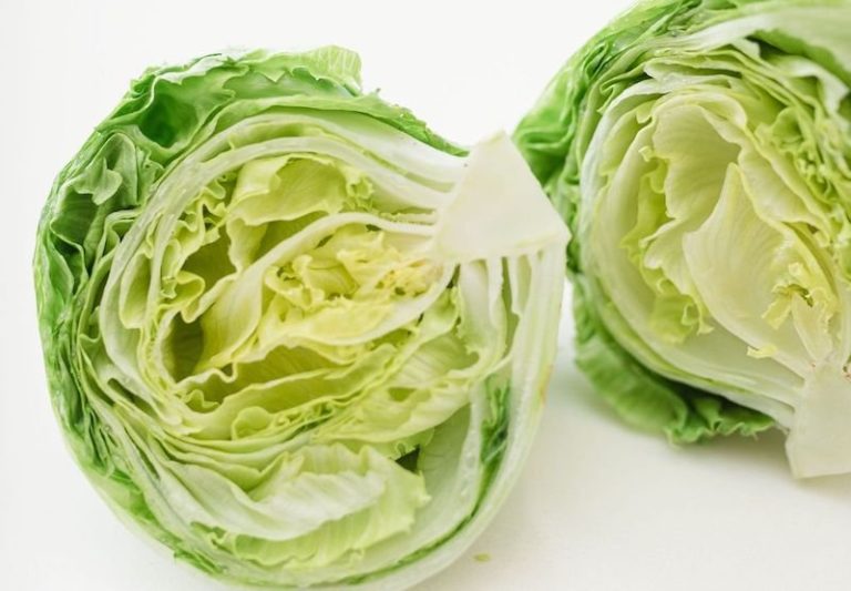 Best Ways to Store Lettuce for Maximum Freshness in 2024 Best Ways to Store Lettuce for Maximum Freshness in 2024