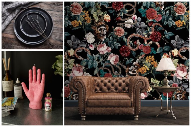 10 Best Cat Skull Products to Shop for in 2024: Unique Décor Ideas 10 Best Cat Skull Products to Shop for in 2024: Unique Décor Ideas