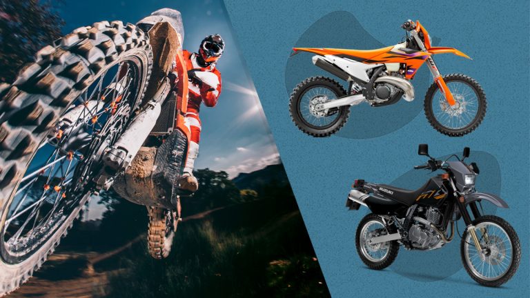 10 Best Mini Bikes for 2024: Top Picks for Adventure and Fun