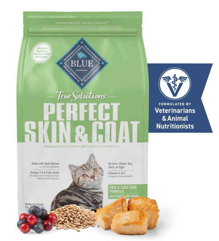 10 Best Corn Dogs Near Me: The Ultimate 2024 Guide to Flavorful Treats