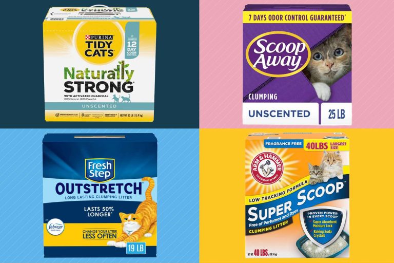 10 Best Litters for Odor Control in 2024: Top Products Reviewed
