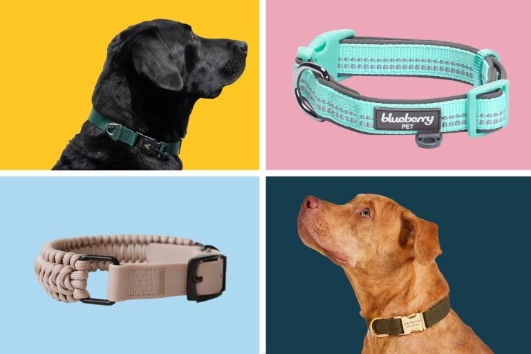 Best Tracker for Dogs: Top Picks of 2024 for Pet Safety and Security
