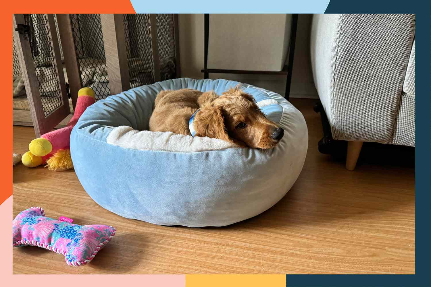 10 Best Cat Beds for Ultimate Comfort and Style in 2024