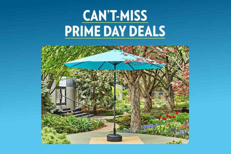 10 Best Prime Day Deals 2024: Top Products You Can’t Miss!