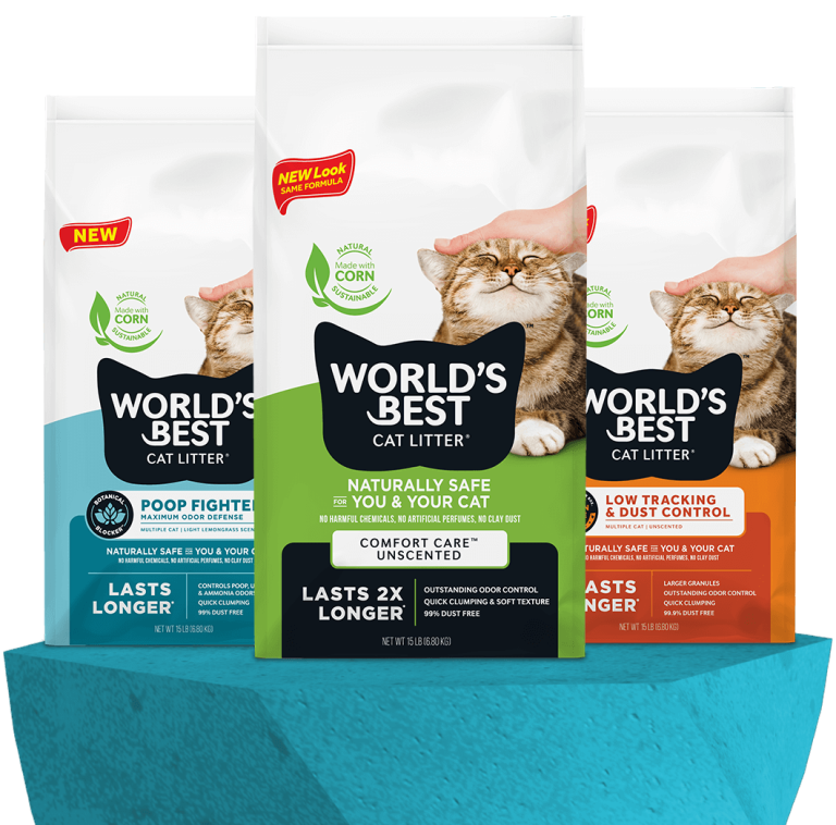 10 Best World’s Best Litter Products for Your Cat in 2024