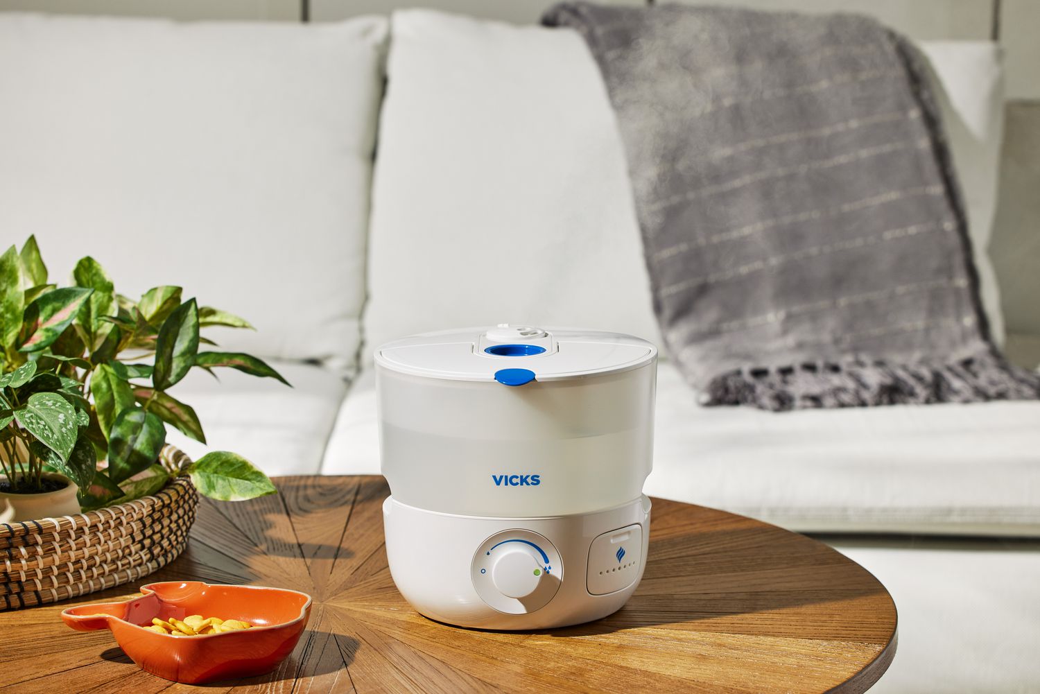 10 Best Humidifiers for Infants in 2024: Top Products for Healthy Breathing 10 Best Humidifiers for Infants in 2024: Top Products for Healthy Breathing