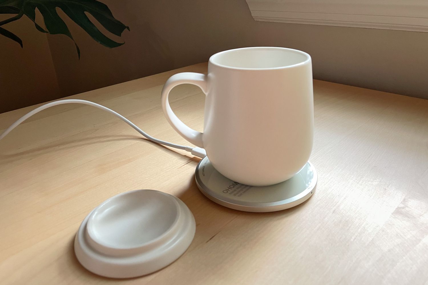 10 Best Coffee Mug Warmers to Keep Your Drink Hot in 2024