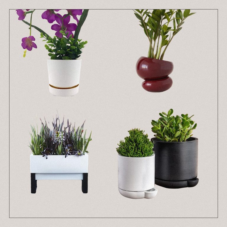 10 Best Hanging Self-Watering Plants for Effortless Gardening in 2024
