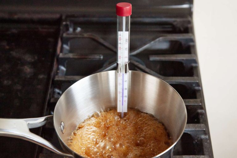 10 Best Food Thermometers for Perfect Cooking in 2024