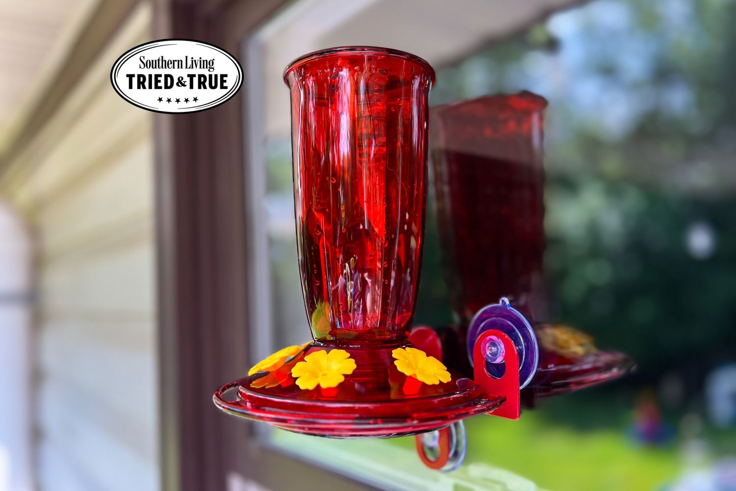 10 Best Hummingbird Feeders for 2024: Top Picks for Your Garden