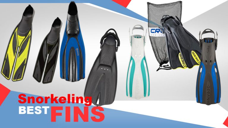 10 Best Snorkeling Cressi Palau Adjustable Fins of 2024: Top Choices!