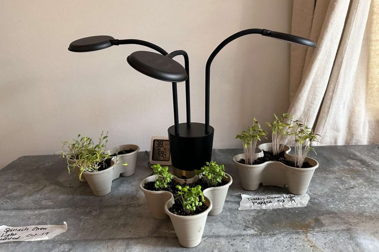 Best Grow Light: Top Picks for 2024’s Best Indoor Gardening Solutions Best Grow Light: Top Picks for 2024’s Best Indoor Gardening Solutions