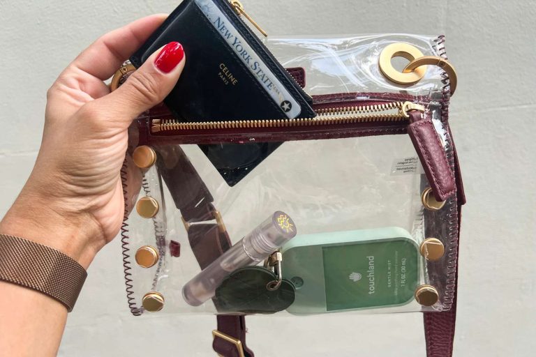 10 Best Clear Bags for 2024: Top Picks for Every Occasion