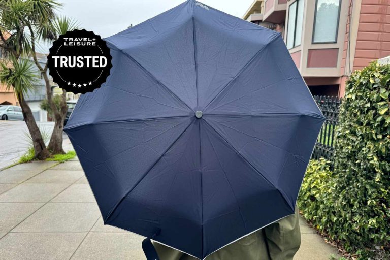 10 Best Umbrellas: Top Picks for Rain Protection in 2024 10 Best Umbrellas: Top Picks for Rain Protection in 2024