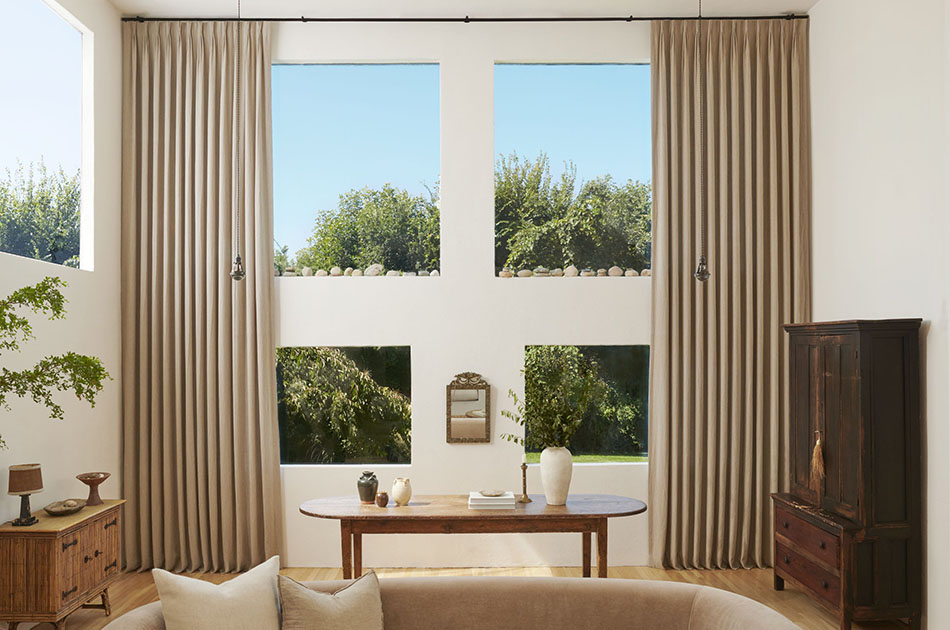 10 Best Bamboo Plants for Your Home in 2024: Enhance Your Space Naturally